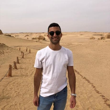 Fady Abdelmalik